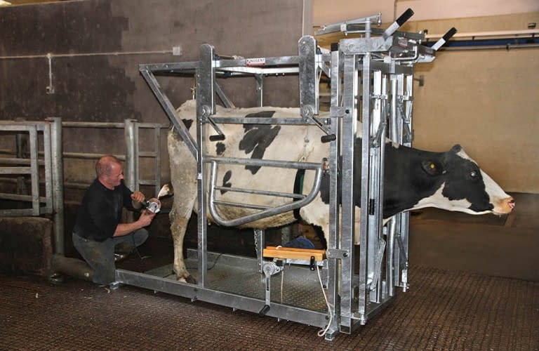 Nugent universal hoof tech 5 Wexford Carlow and Wicklow