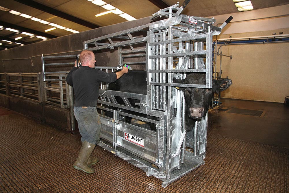 universal cattle tech 4 Wexford Carlow and Wicklow