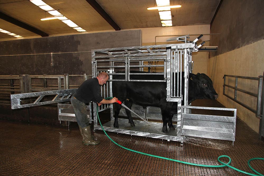 universal cattle tech 3 Wexford Carlow and Wicklow