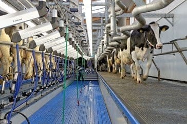 milking machine