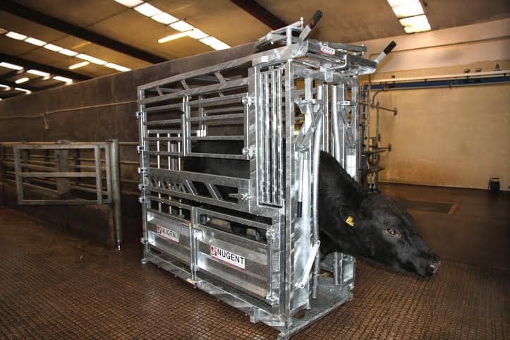 UNIVERSAL CATTLE TECH Wexford Carlow and Wicklow