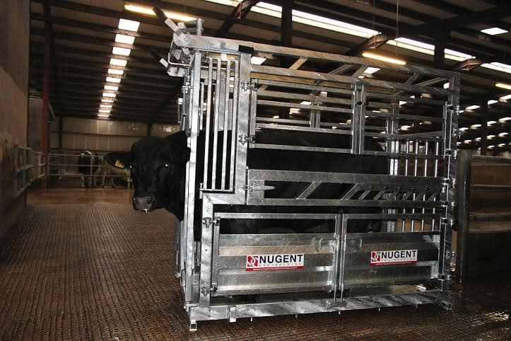 universal cattle tech 2 Wexford Carlow and Wicklow