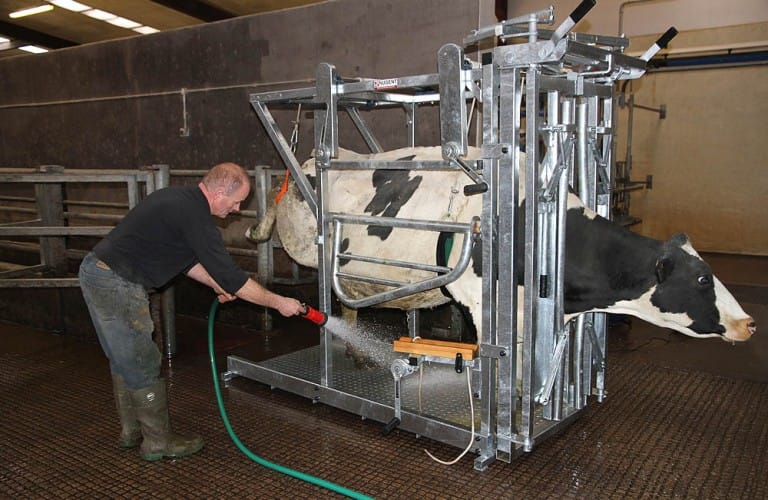 Nugent universal hoof tech 6 Wexford Carlow and Wicklow